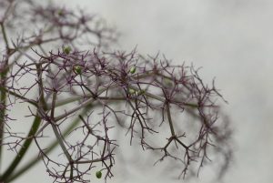 �������� ������ � ������� �� ����� ���