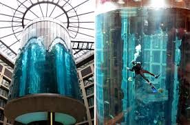 ���������� AquaDom Elevator, ������